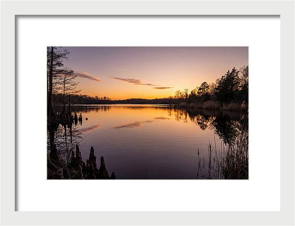 Tranquil Reflections At Killens Pond