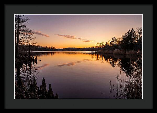 Tranquil Reflections At Killens Pond
