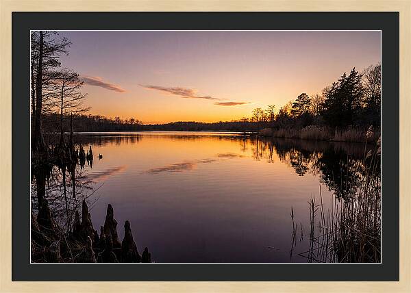 Tranquil Reflections At Killens Pond