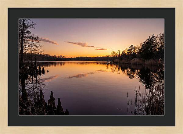 Tranquil Reflections At Killens Pond