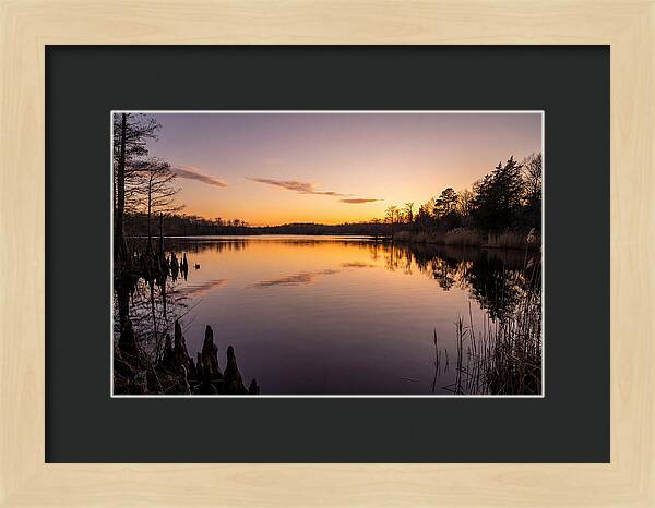 Tranquil Reflections At Killens Pond