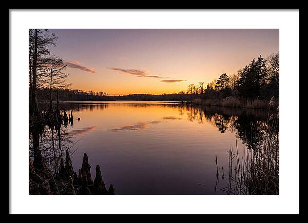 Tranquil Reflections At Killens Pond