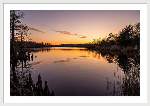 Tranquil Reflections At Killens Pond
