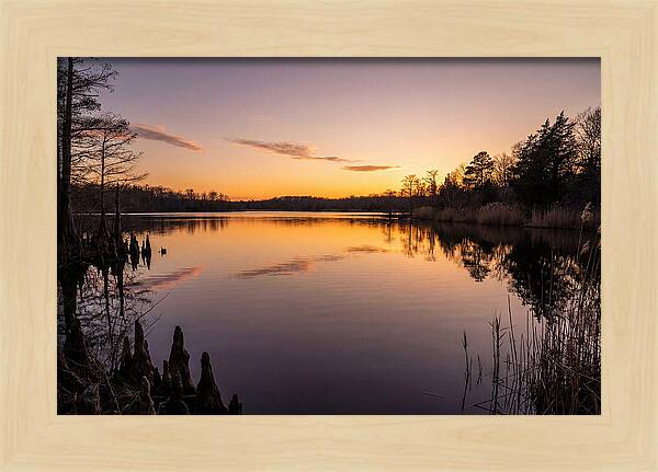 Tranquil Reflections At Killens Pond