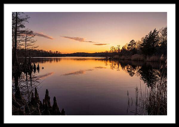 Tranquil Reflections At Killens Pond