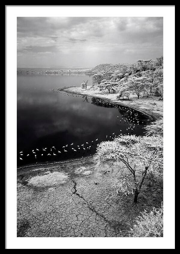 Tranquil Reflections At Lake Nakuru
