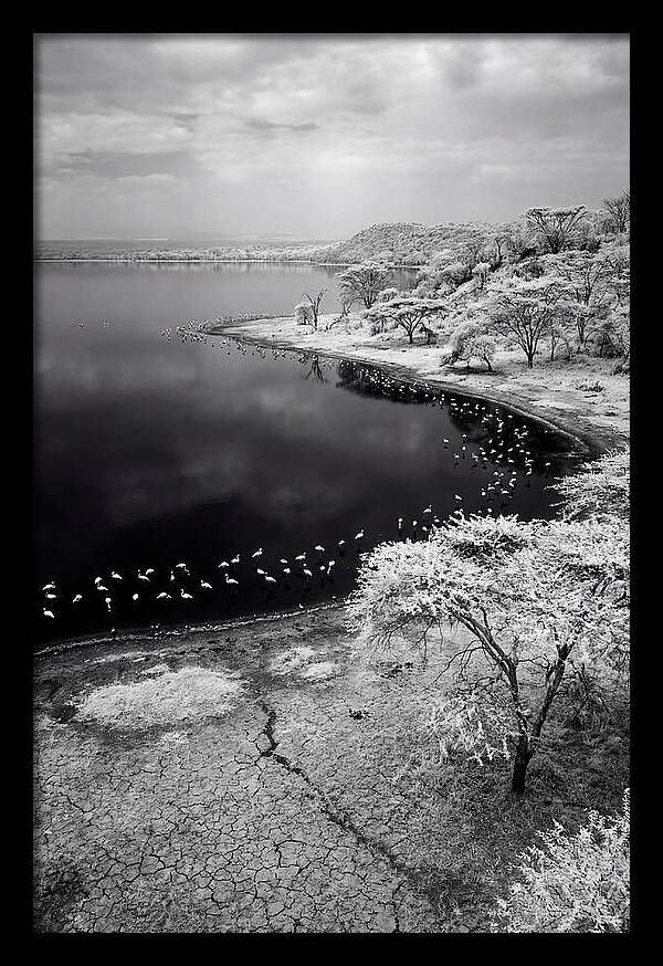 Tranquil Reflections At Lake Nakuru