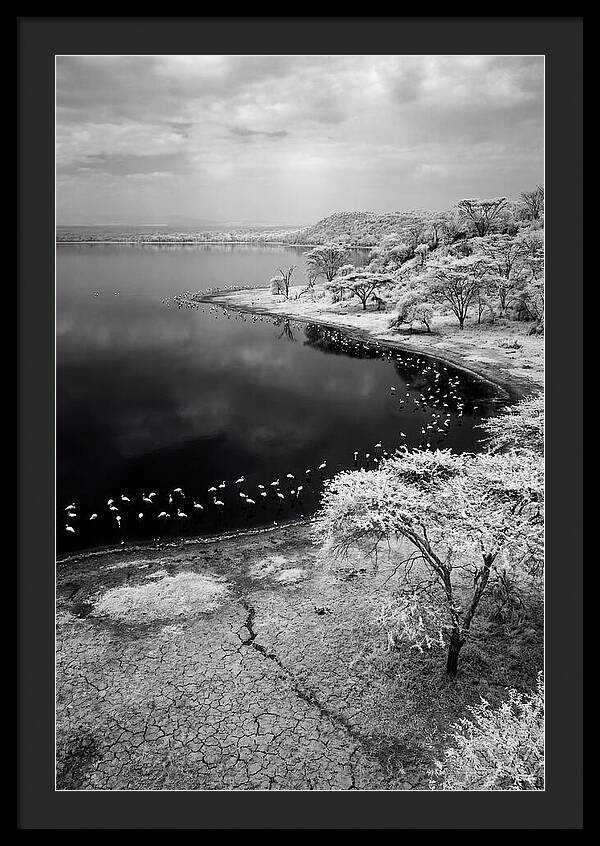 Tranquil Reflections At Lake Nakuru