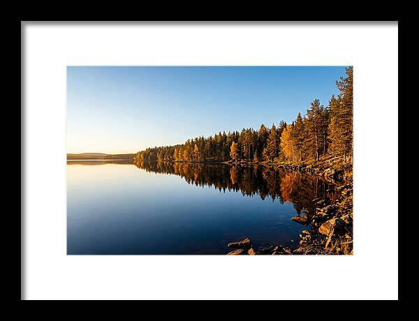 Tranquil Reflections In Nature