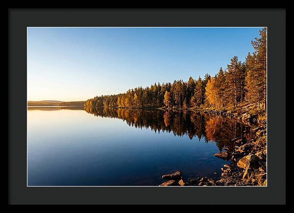 Tranquil Reflections In Nature
