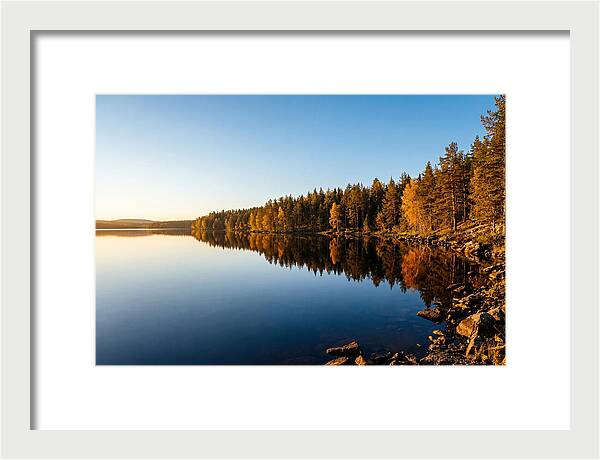 Tranquil Reflections In Nature