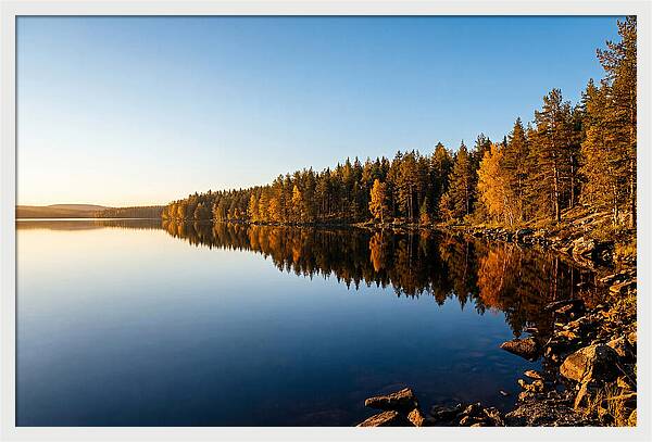 Tranquil Reflections In Nature