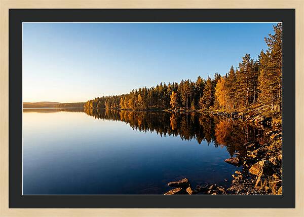 Tranquil Reflections In Nature