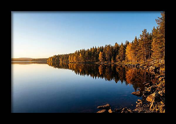 Tranquil Reflections In Nature