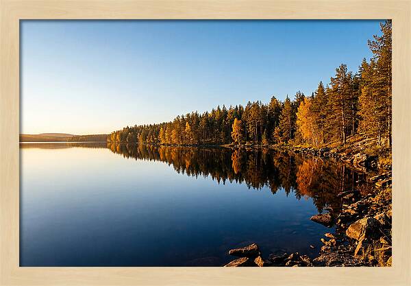 Tranquil Reflections In Nature