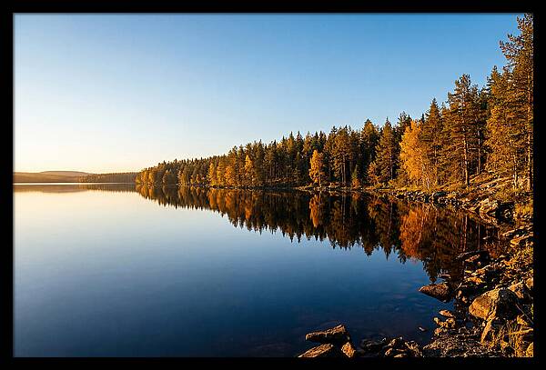 Tranquil Reflections In Nature