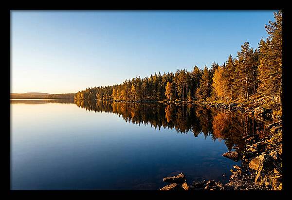 Tranquil Reflections In Nature