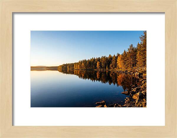 Tranquil Reflections In Nature