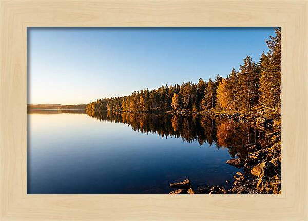 Tranquil Reflections In Nature
