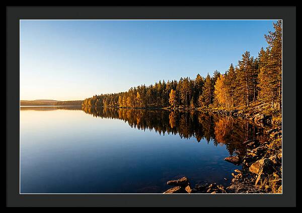 Tranquil Reflections In Nature