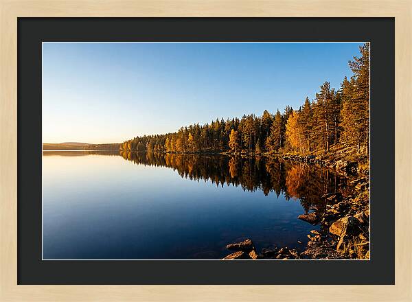 Tranquil Reflections In Nature