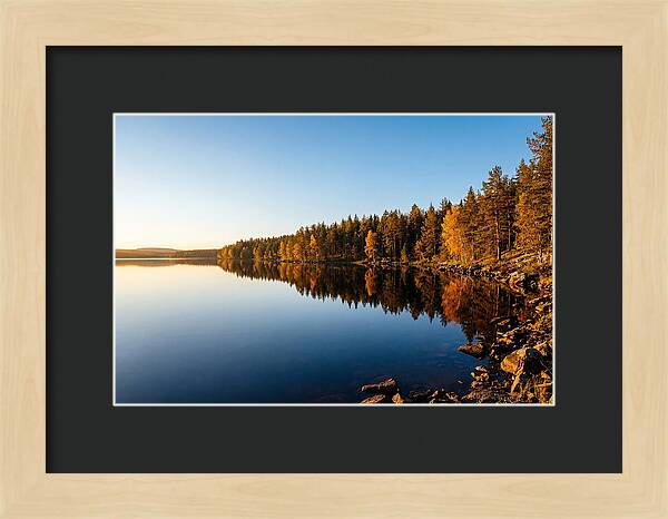 Tranquil Reflections In Nature