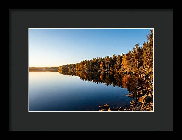 Tranquil Reflections In Nature