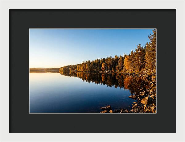 Tranquil Reflections In Nature