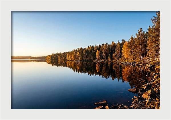 Tranquil Reflections In Nature
