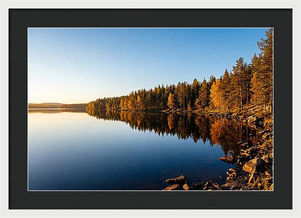 Tranquil Reflections In Nature