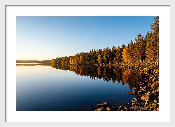 Tranquil Reflections In Nature