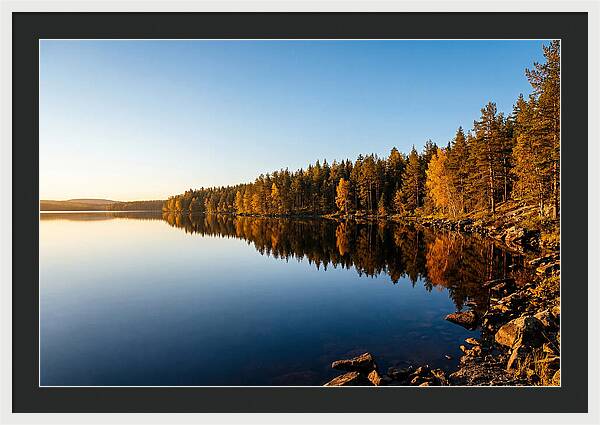 Tranquil Reflections In Nature