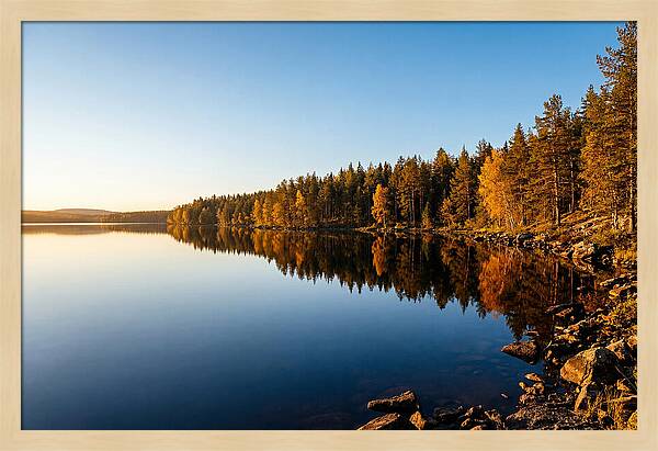 Tranquil Reflections In Nature