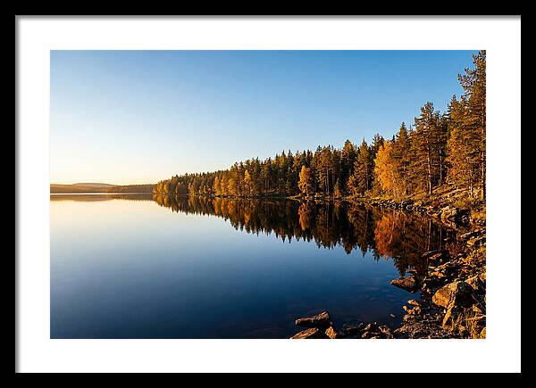 Tranquil Reflections In Nature