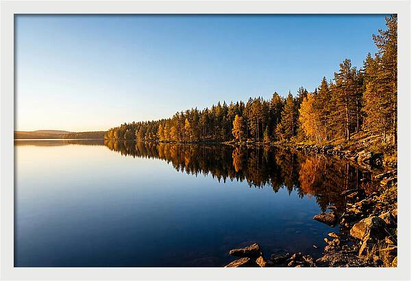 Tranquil Reflections In Nature