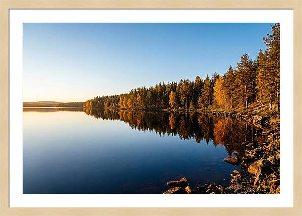 Tranquil Reflections In Nature