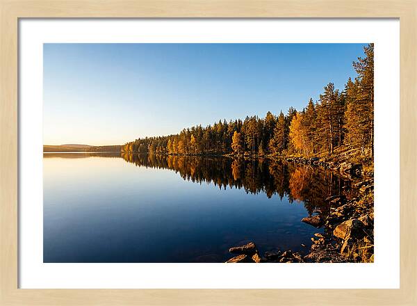 Tranquil Reflections In Nature