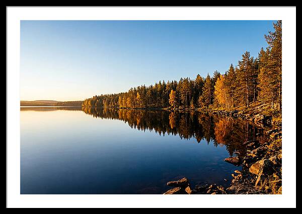 Tranquil Reflections In Nature