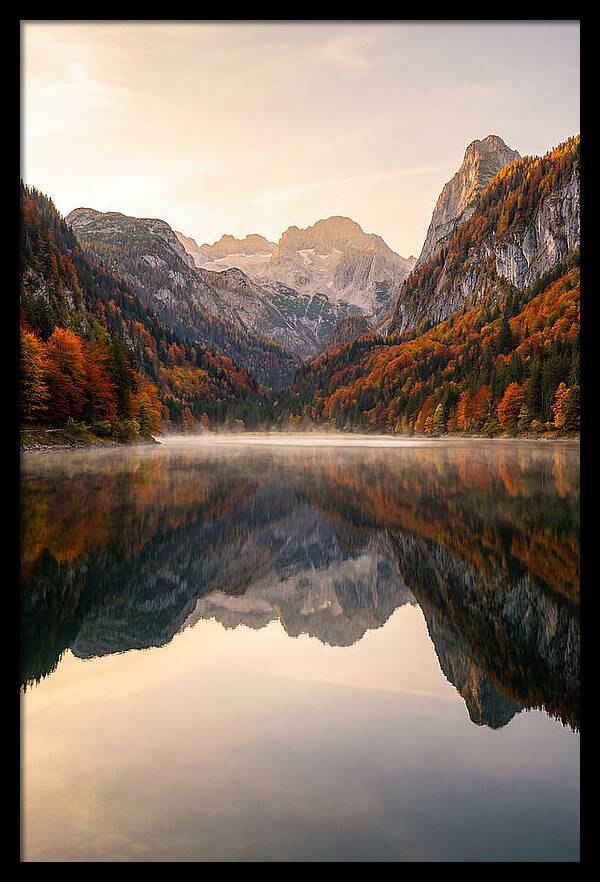 Tranquil Reflections Of Nature