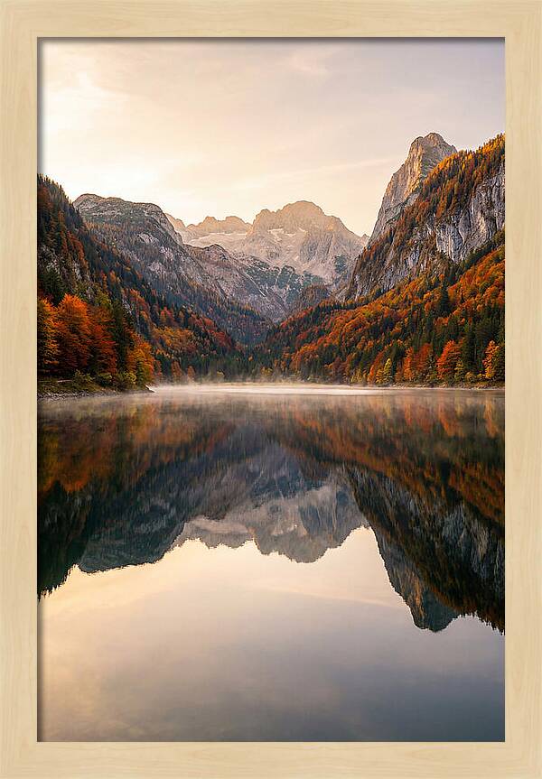 Tranquil Reflections Of Nature
