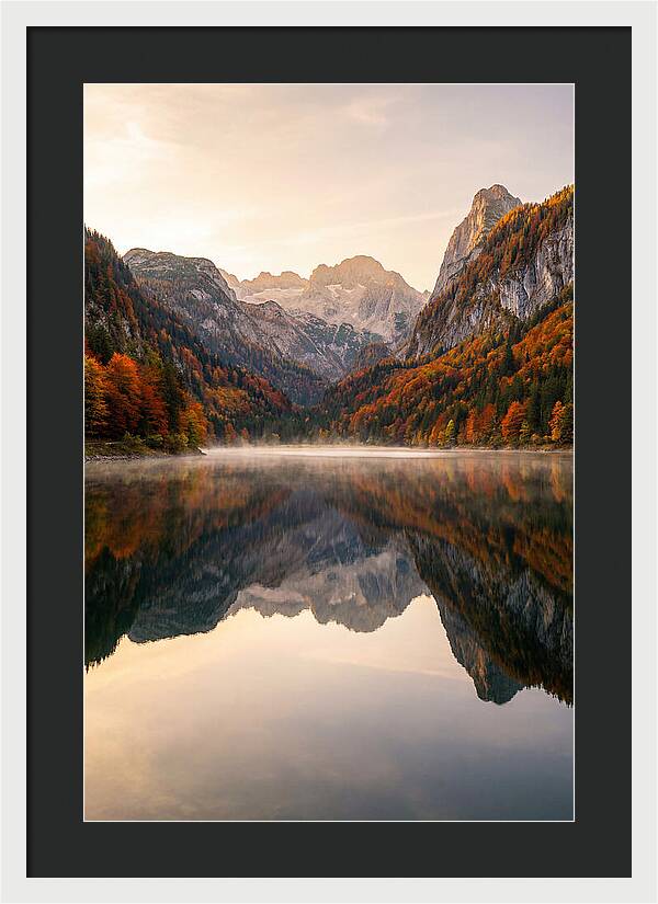 Tranquil Reflections Of Nature
