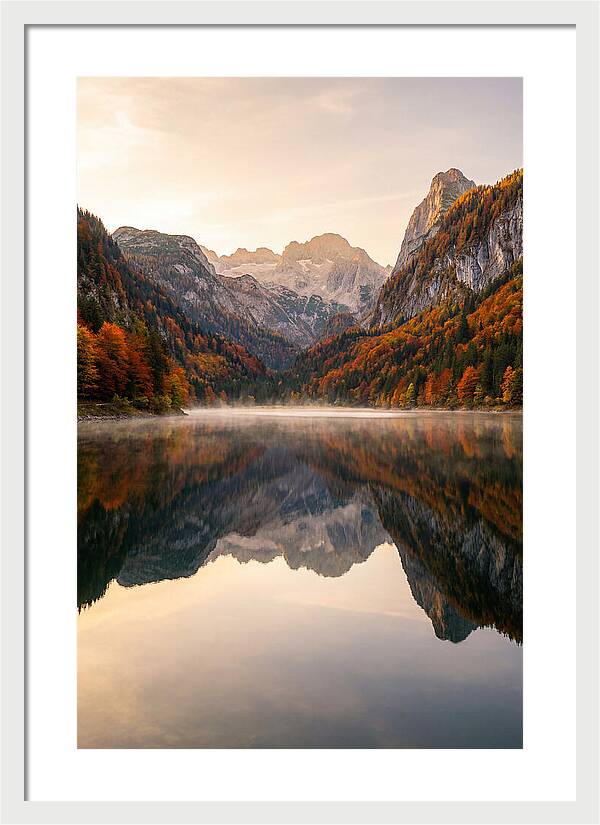 Tranquil Reflections Of Nature
