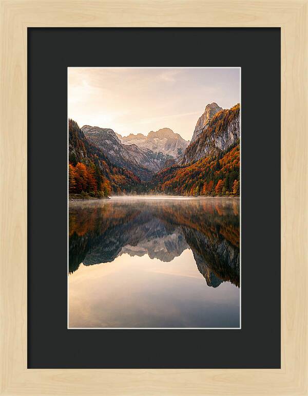 Tranquil Reflections Of Nature