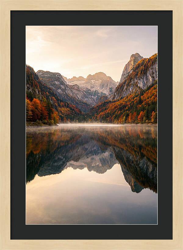 Tranquil Reflections Of Nature