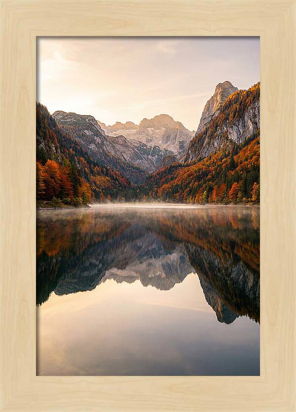 Tranquil Reflections Of Nature