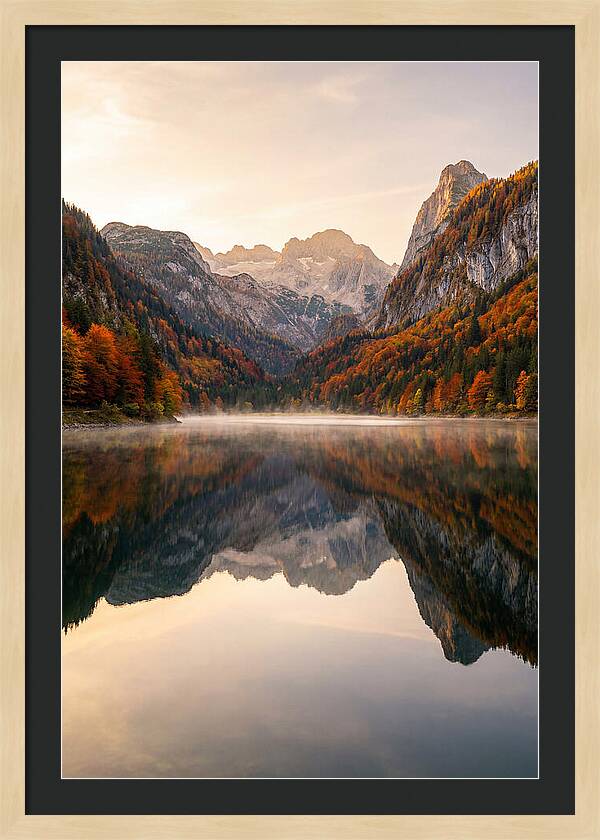 Tranquil Reflections Of Nature