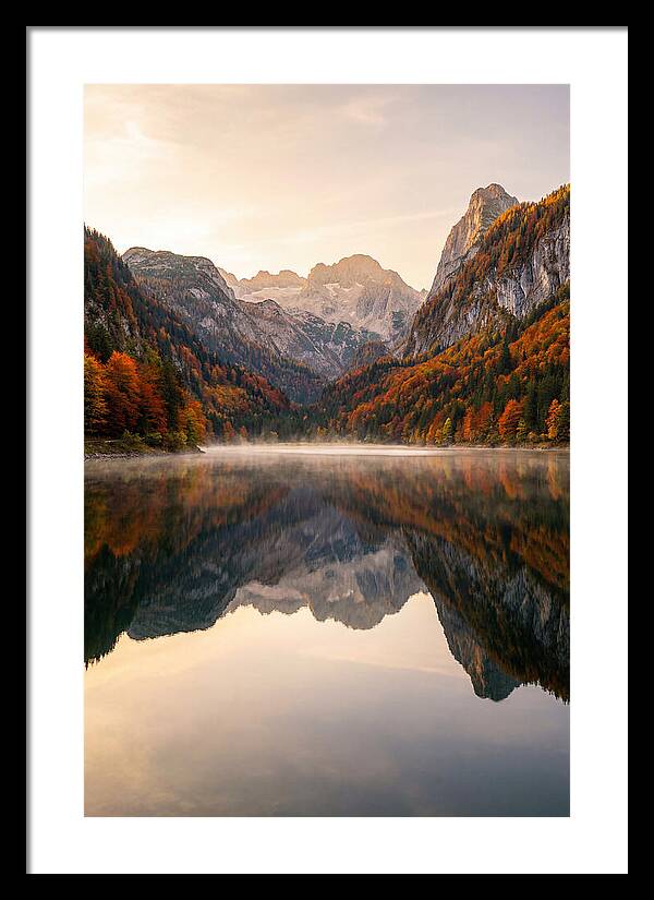 Tranquil Reflections Of Nature