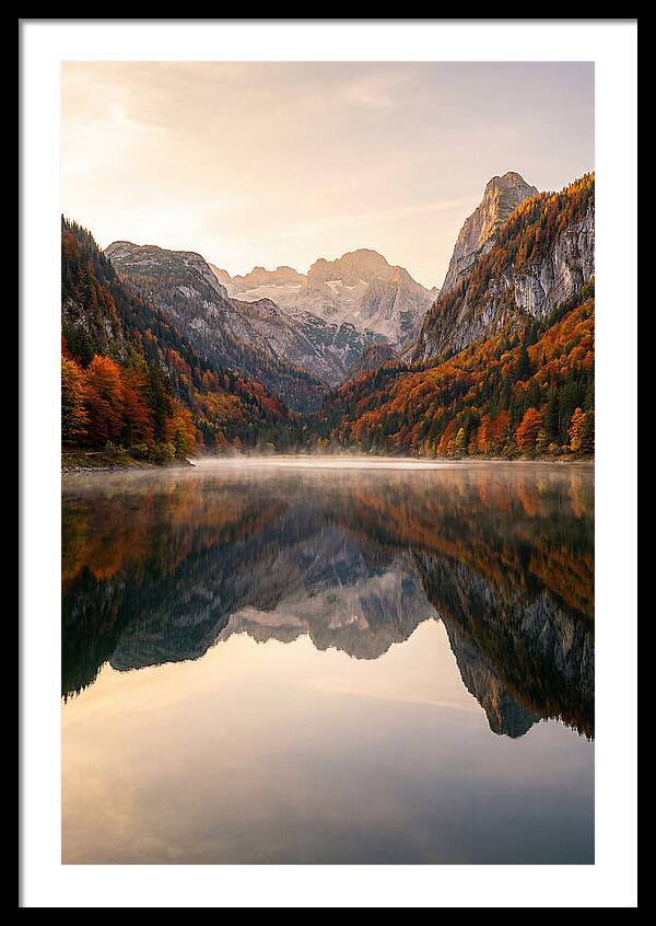 Tranquil Reflections Of Nature