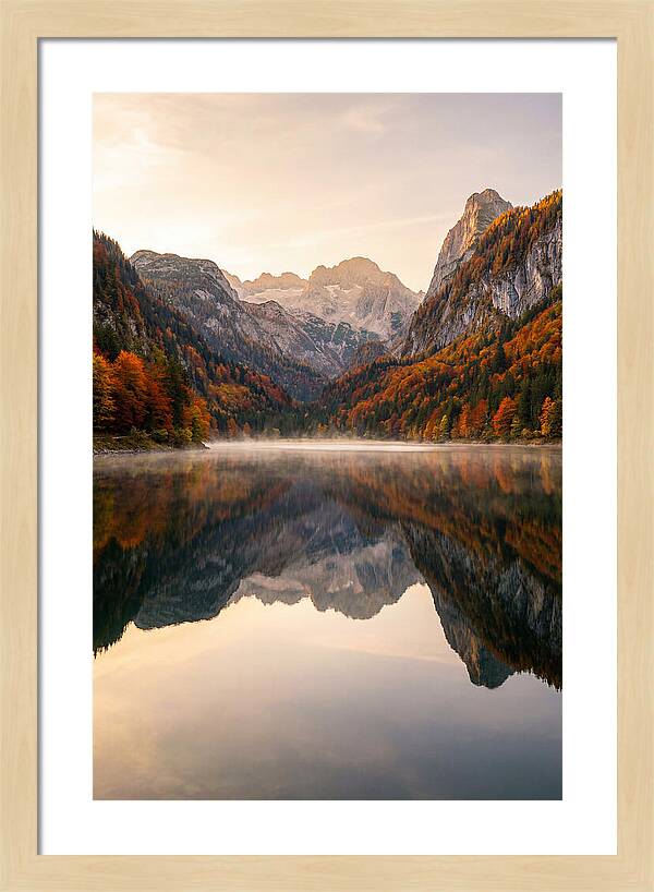 Tranquil Reflections Of Nature