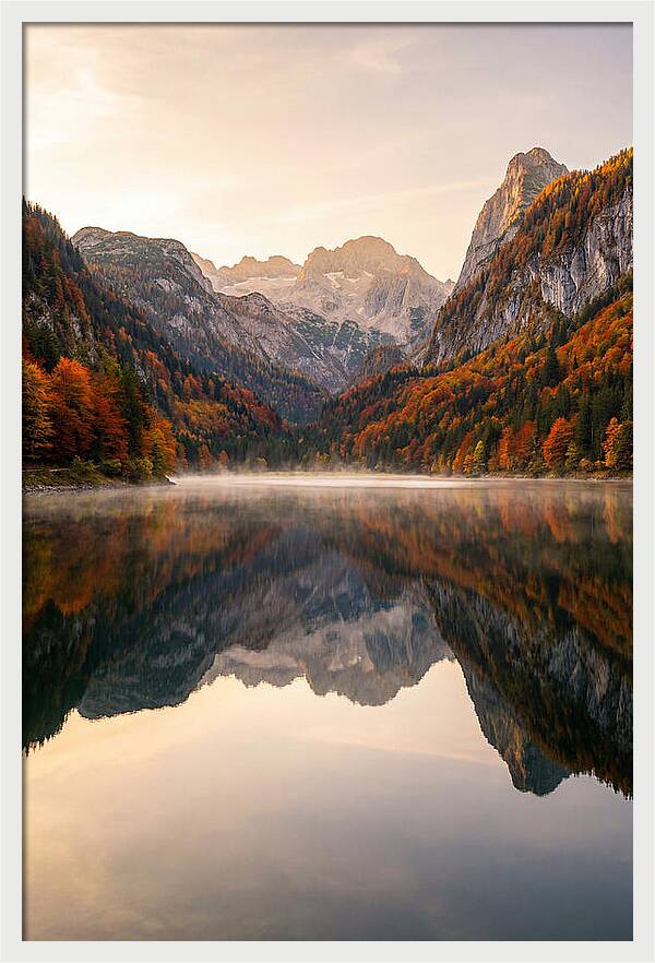 Tranquil Reflections Of Nature